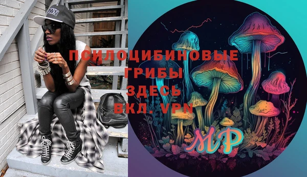 ГАЛЛЮЦИНОГЕННЫЕ ГРИБЫ Навашино
