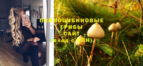 ГАЛЛЮЦИНОГЕННЫЕ ГРИБЫ Навашино