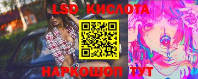 молекула духа Гатчина