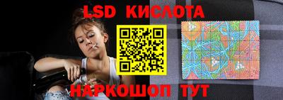 молекула духа Гатчина