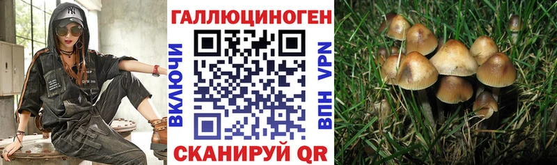 где купить наркоту Электросталь Галлюциногенные грибы мухоморы