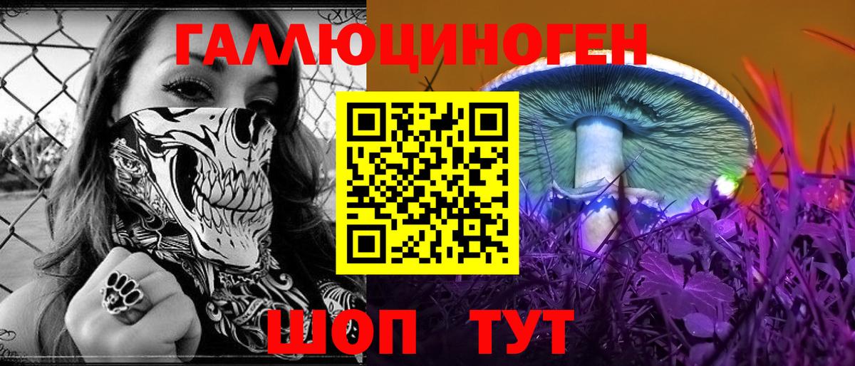 Псилоцибиновые грибы Psilocybe  Электросталь 