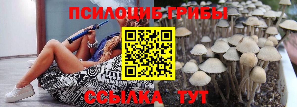 Галлюциногенные грибы MAGIC MUSHROOMS Электросталь